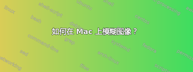 如何在 Mac 上模糊图像？