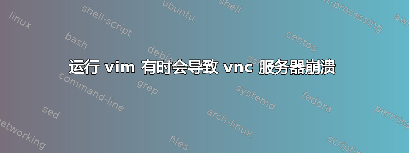 运行 vim 有时会导致 vnc 服务器崩溃