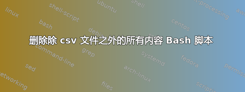 删除除 csv 文件之外的所有内容 Bash 脚本