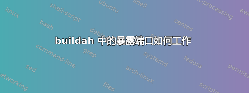 buildah 中的暴露端口如何工作