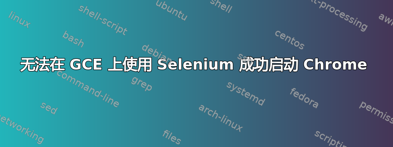 无法在 GCE 上使用 Selenium 成功启动 Chrome