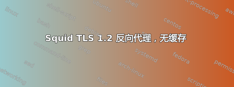 Squid TLS 1.2 反向代理，无缓存