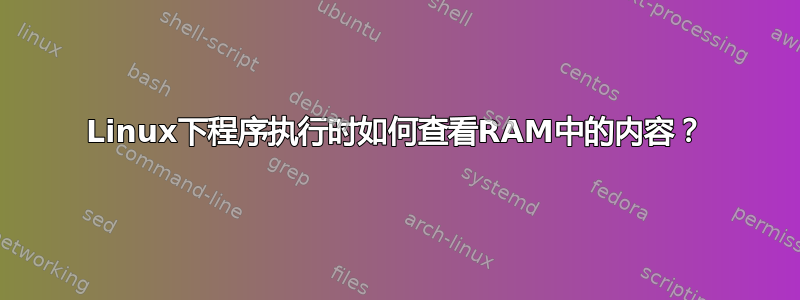 Linux下程序执行时如何查看RAM中的内容？