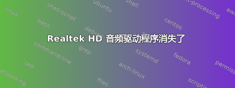 Realtek HD 音频驱动程序消失了