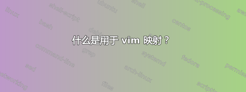 什么是用于 vim 映射？