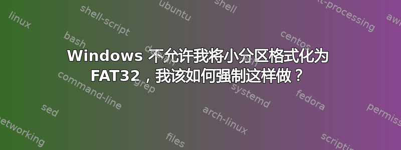 Windows 不允许我将小分区格式化为 FAT32，我该如何强制这样做？