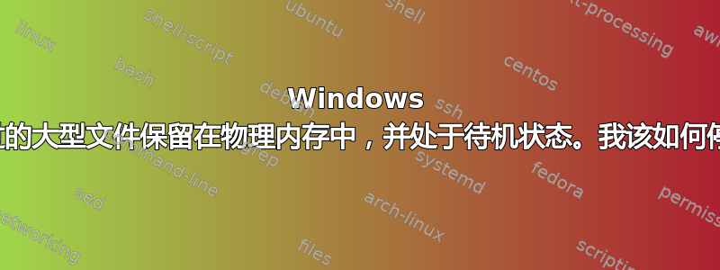 Windows 将我曾经打开过的大型文件保留在物理内存中，并处于待机状态。我该如何停止这种情况？