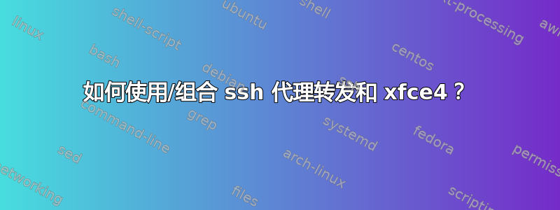 如何使用/组合 ssh 代理转发和 xfce4？