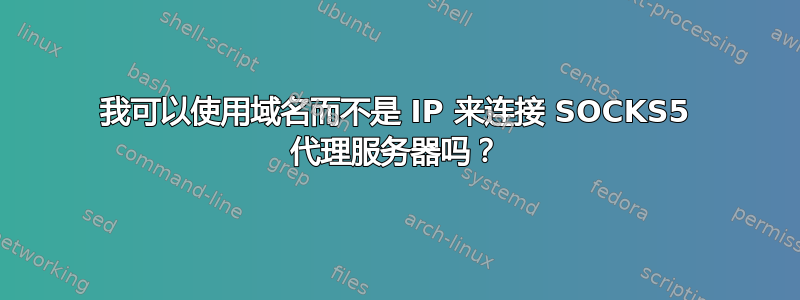 我可以使用域名而不是 IP 来连接 SOCKS5 代理服务器吗？