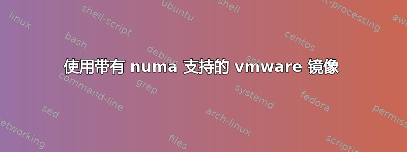使用带有 numa 支持的 vmware 镜像