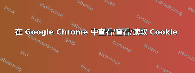 在 Google Chrome 中查看/查看/读取 Cookie