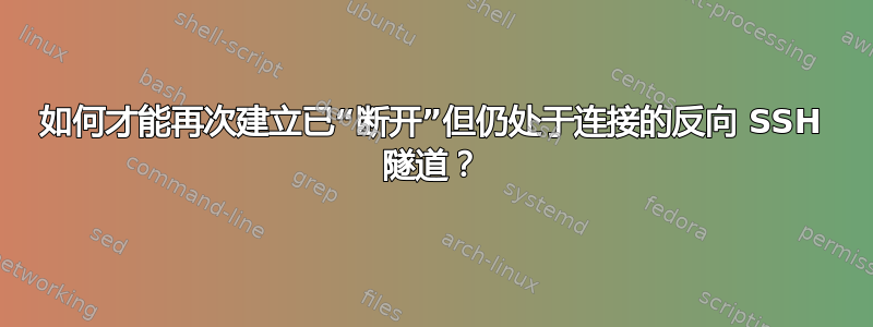 如何才能再次建立已“断开”但仍处于连接的反向 SSH 隧道？