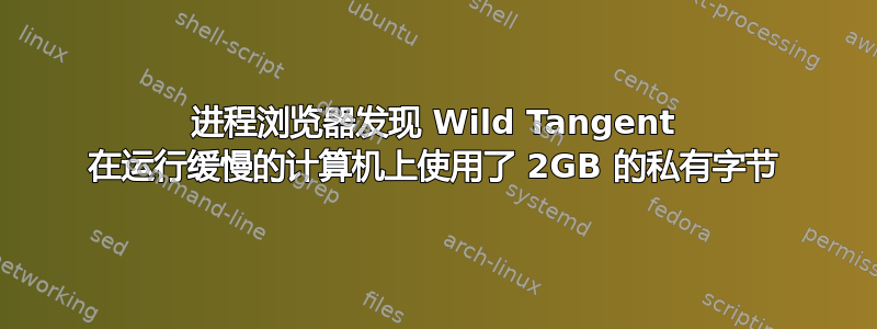 进程浏览器发现 Wild Tangent 在运行缓慢的计算机上使用了 2GB 的私有字节