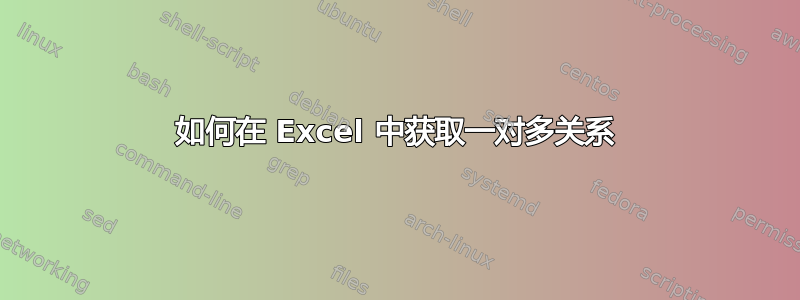 如何在 Excel 中获取一对多关系