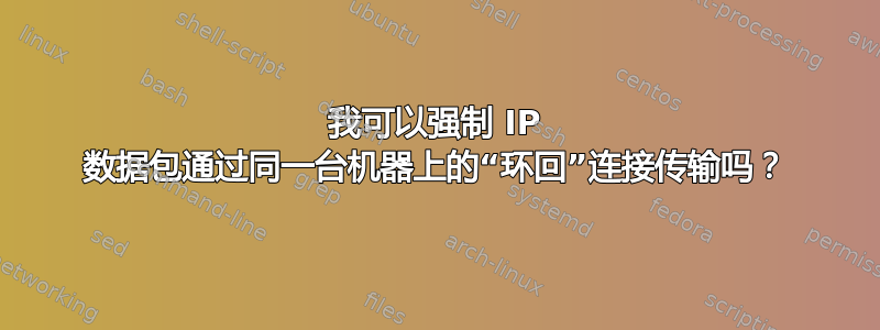 我可以强制 IP 数据包通过同一台机器上的“环回”连接传输吗？