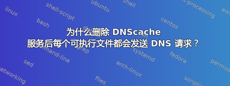 为什么删除 DNScache 服务后每个可执行文件都会发送 DNS 请求？