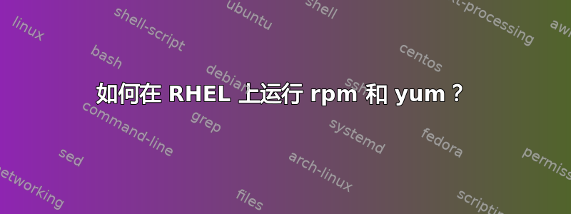 如何在 RHEL 上运行 rpm 和 yum？