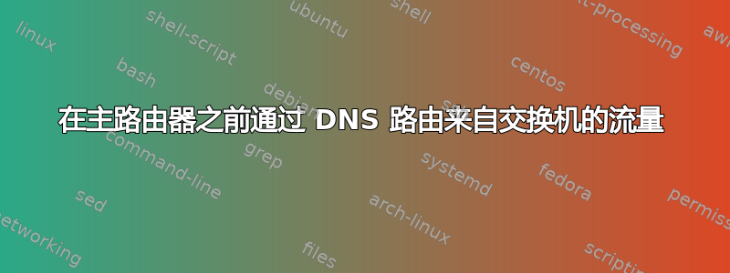 在主路由器之前通过 DNS 路由来自交换机的流量