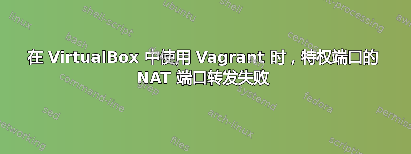 在 VirtualBox 中使用 Vagrant 时，特权端口的 NAT 端口转发失败