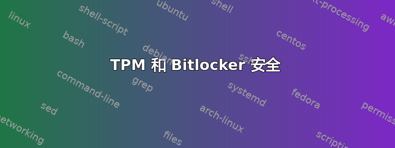 TPM 和 Bitlocker 安全