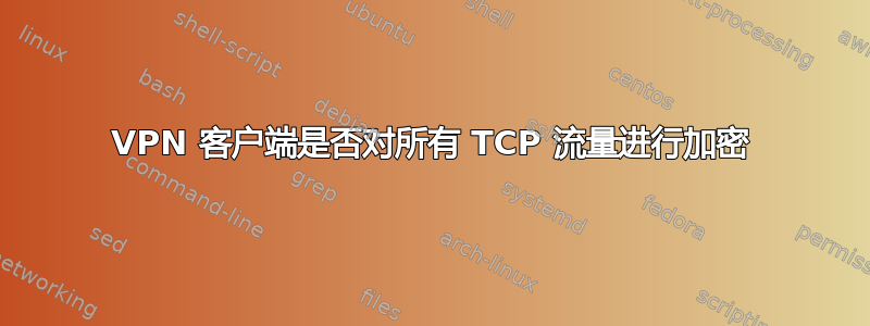 VPN 客户端是否对所有 TCP 流量进行加密