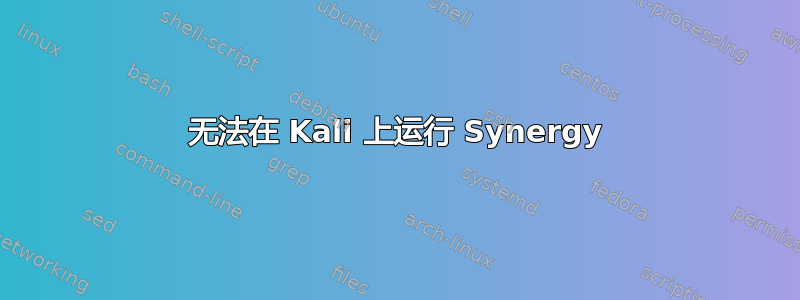 无法在 Kali 上运行 Synergy