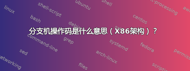 分支机操作码是什么意思（X86架构）？