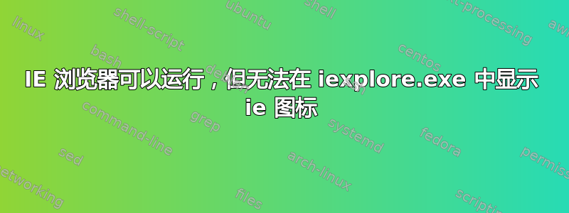 IE 浏览器可以运行，但无法在 iexplore.exe 中显示 ie 图标