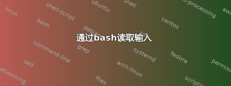 通过bash读取输入