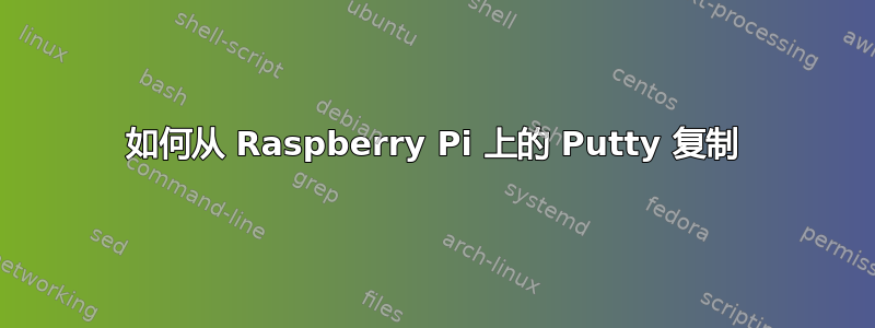 如何从 Raspberry Pi 上的 Putty 复制