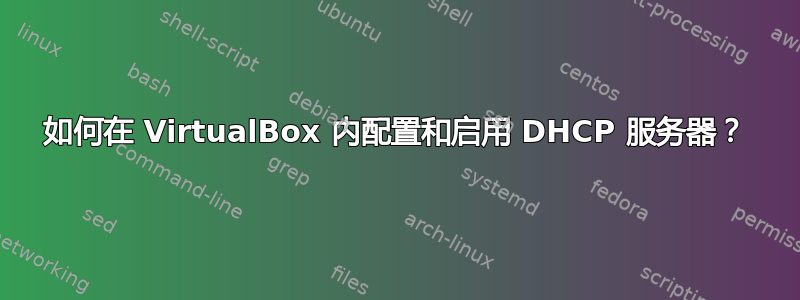 如何在 VirtualBox 内配置和启用 DHCP 服务器？