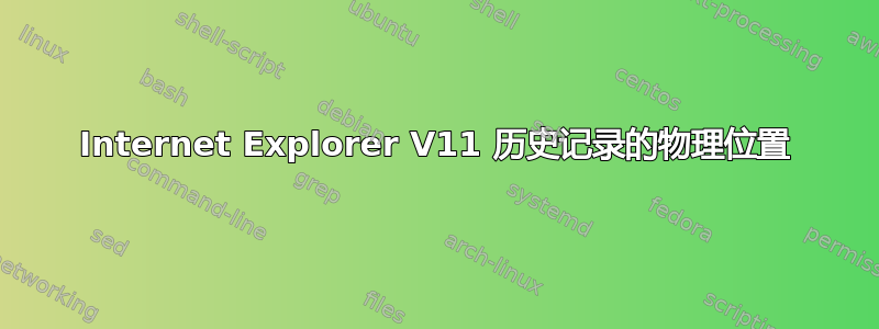 Internet Explorer V11 历史记录的物理位置