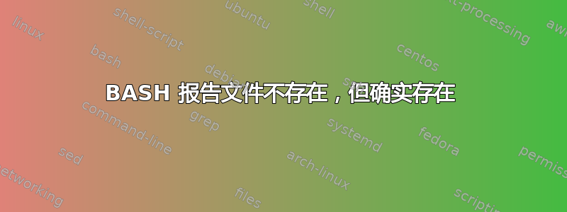 BASH 报告文件不存在，但确实存在