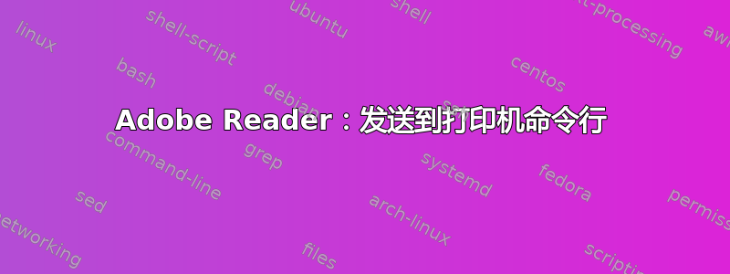 Adobe Reader：发送到打印机命令行