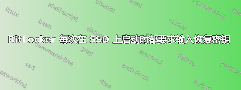 BitLocker 每次在 SSD 上启动时都要求输入恢复密钥