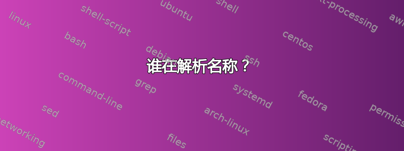 谁在解析名称？