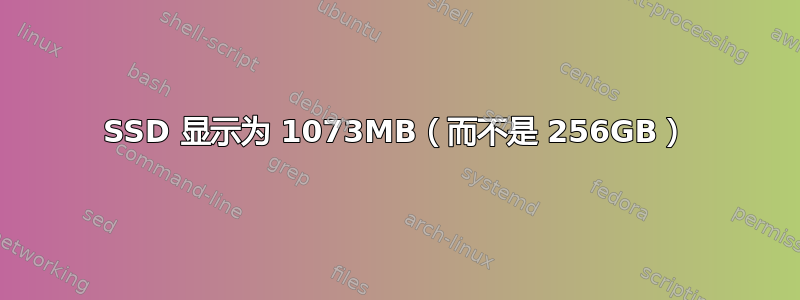 SSD 显示为 1073MB（而不是 256GB）