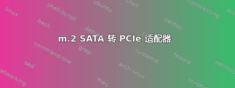 m.2 SATA 转 PCIe 适配器 