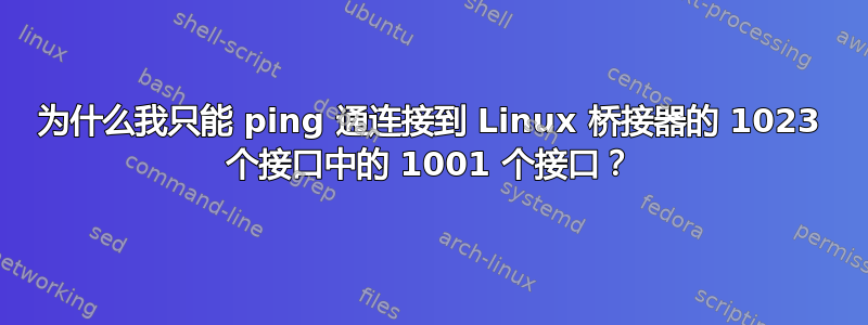 为什么我只能 ping 通连接到 Linux 桥接器的 1023 个接口中的 1001 个接口？