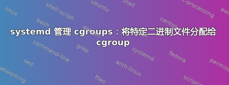 systemd 管理 cgroups：将特定二进制文件分配给 cgroup