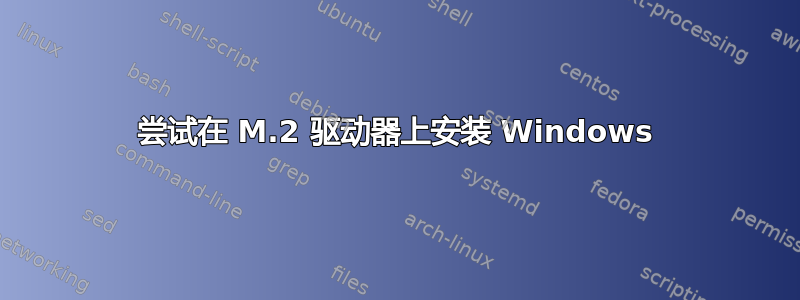 尝试在 M.2 驱动器上安装 Windows