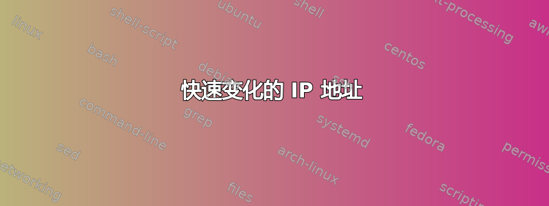 快速变化的 IP 地址