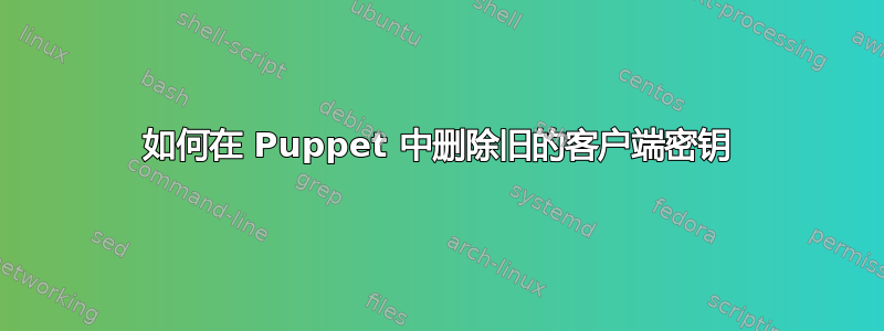 如何在 Puppet 中删除旧的客户端密钥