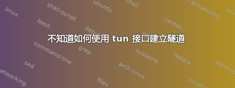 不知道如何使用 tun 接口建立隧道