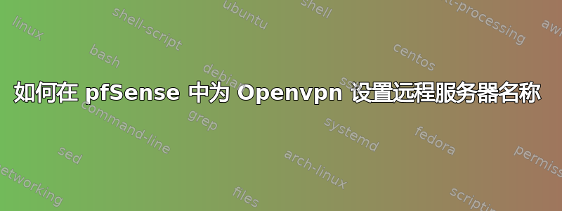 如何在 pfSense 中为 Openvpn 设置远程服务器名称