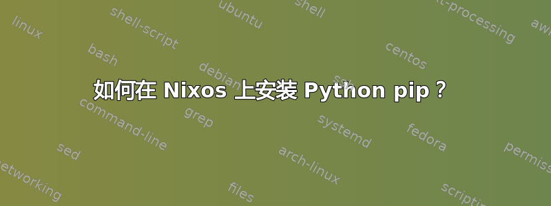 如何在 Nixos 上安装 Python pip？