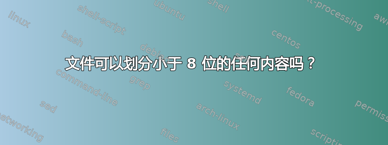 文件可以划分小于 8 位的任何内容吗？