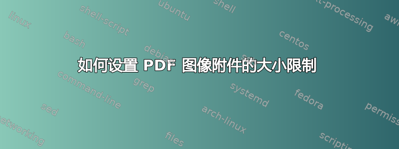 如何设置 PDF 图像附件的大小限制