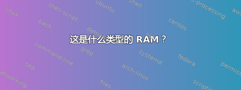 这是什么类型的 RAM？