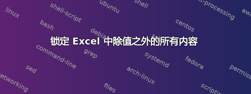 锁定 Excel 中除值之外的所有内容